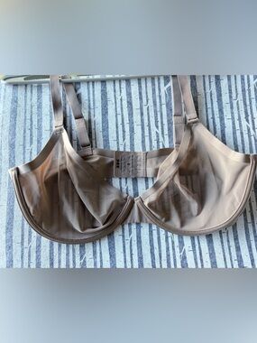 THE PLUNGE CUUP Sheer Nude Mesh Underwire Bra